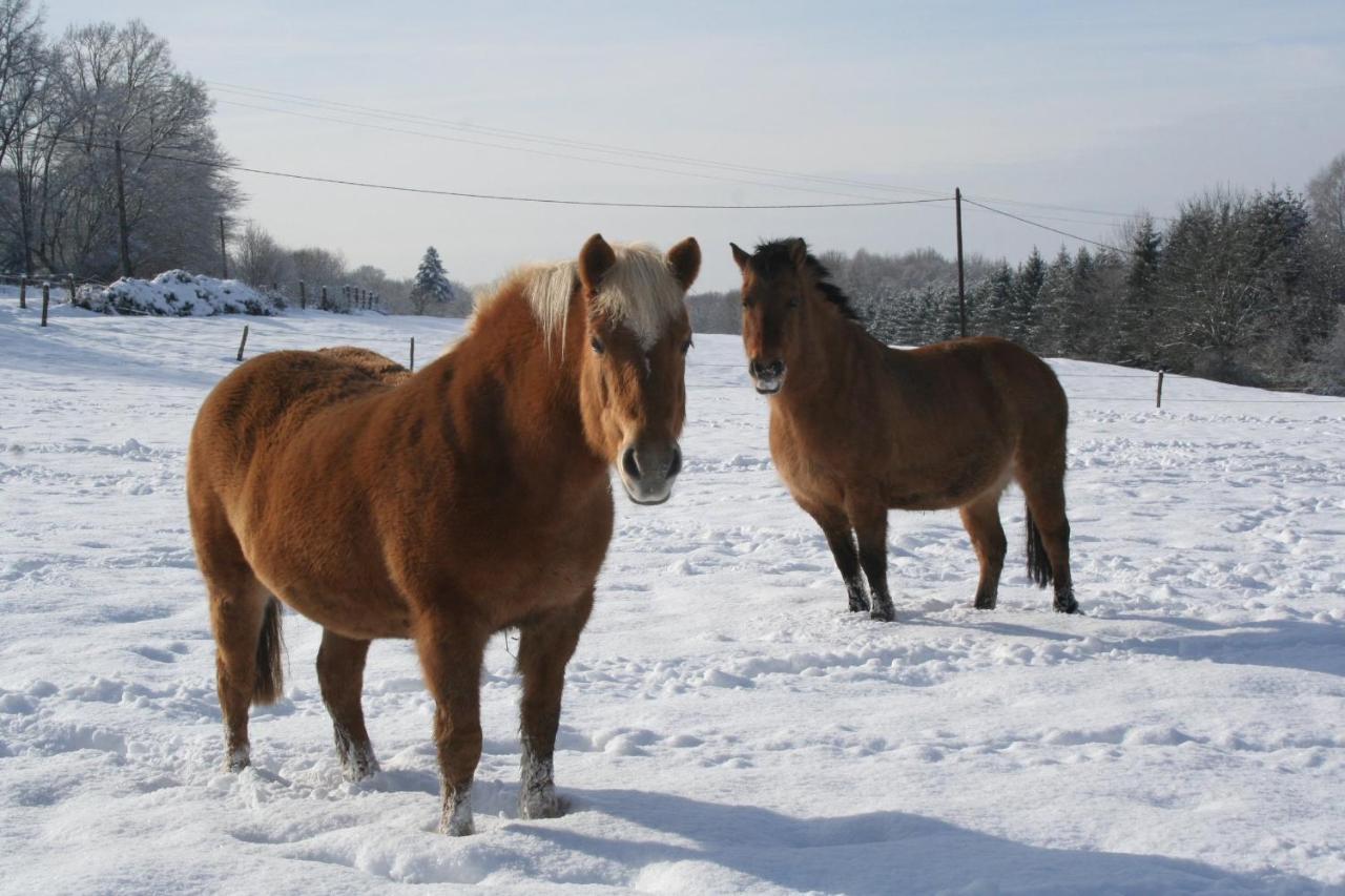 Chambres d'Hôtes La Landre Le Clerjus Extérieur photo